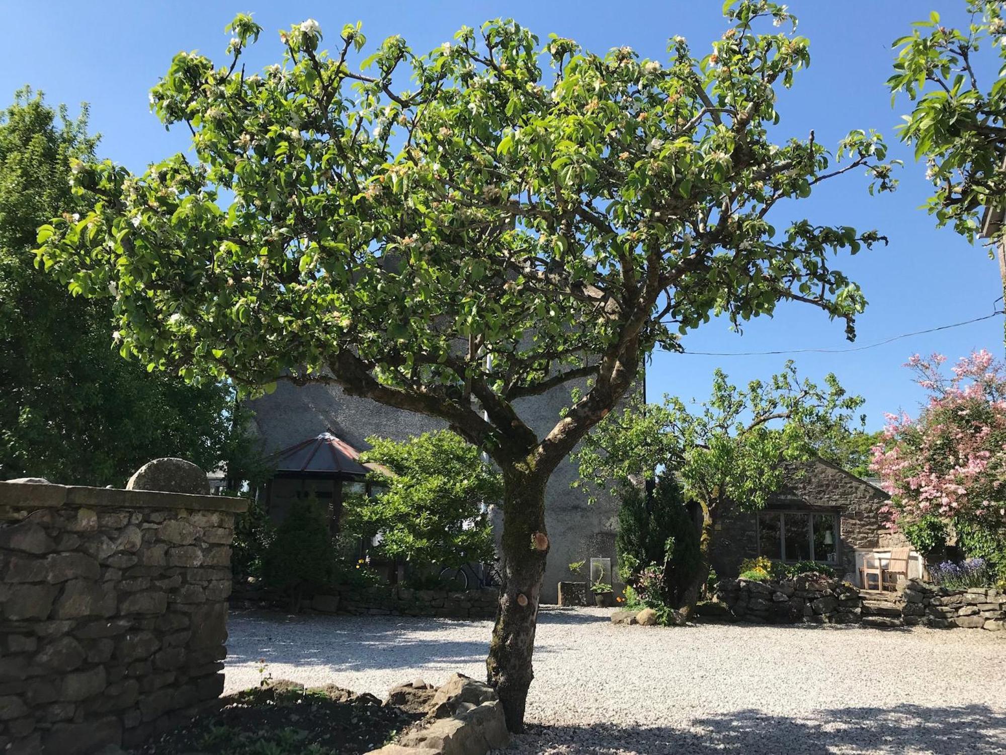 Pear Tree Barn Villa Crooklands Exteriör bild